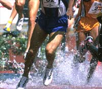 Click here to go to the running section